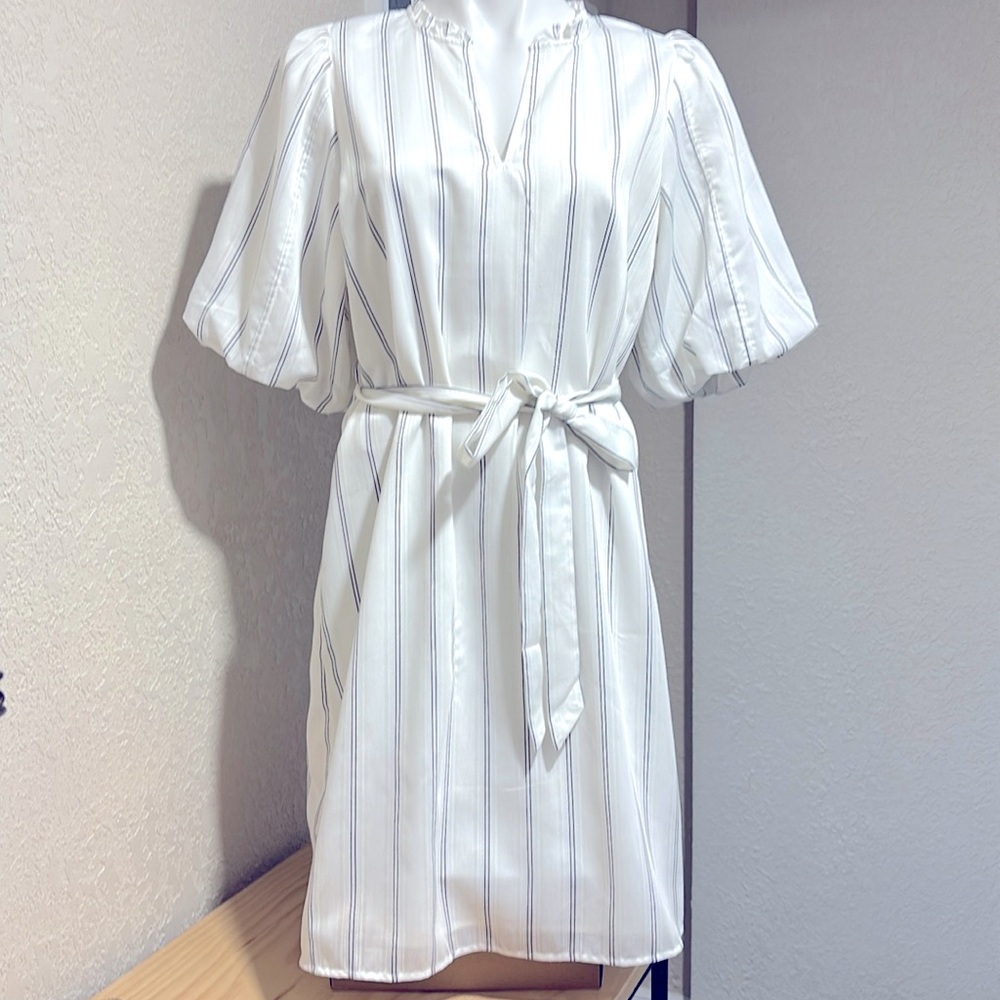 Ann Tylor Factory Dress